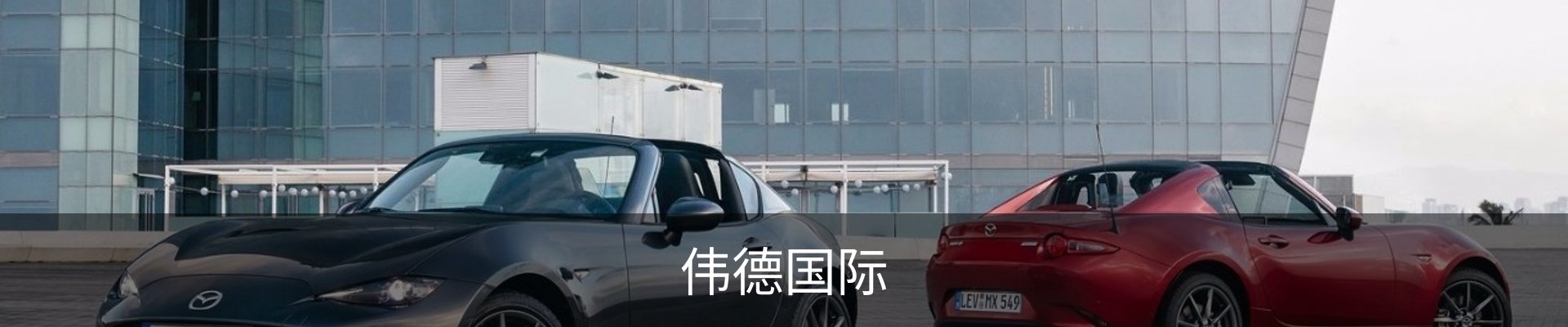 伟德国际